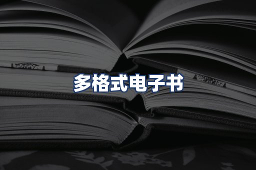 多格式电子书